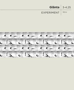 Glänta 3-4 (2025) Experiment