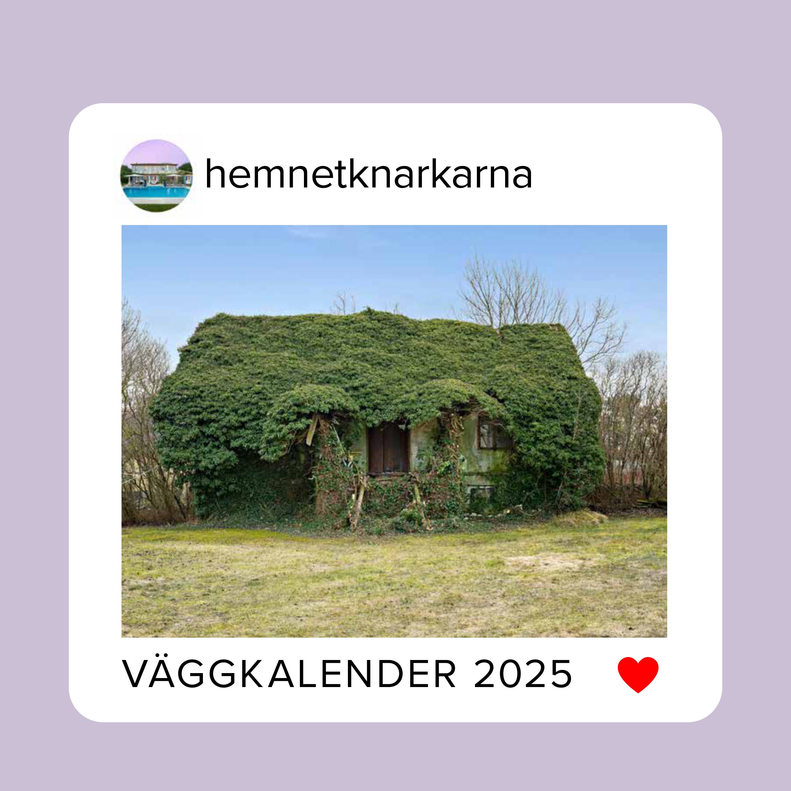 Hemnetknarkarna : väggkalender 2025