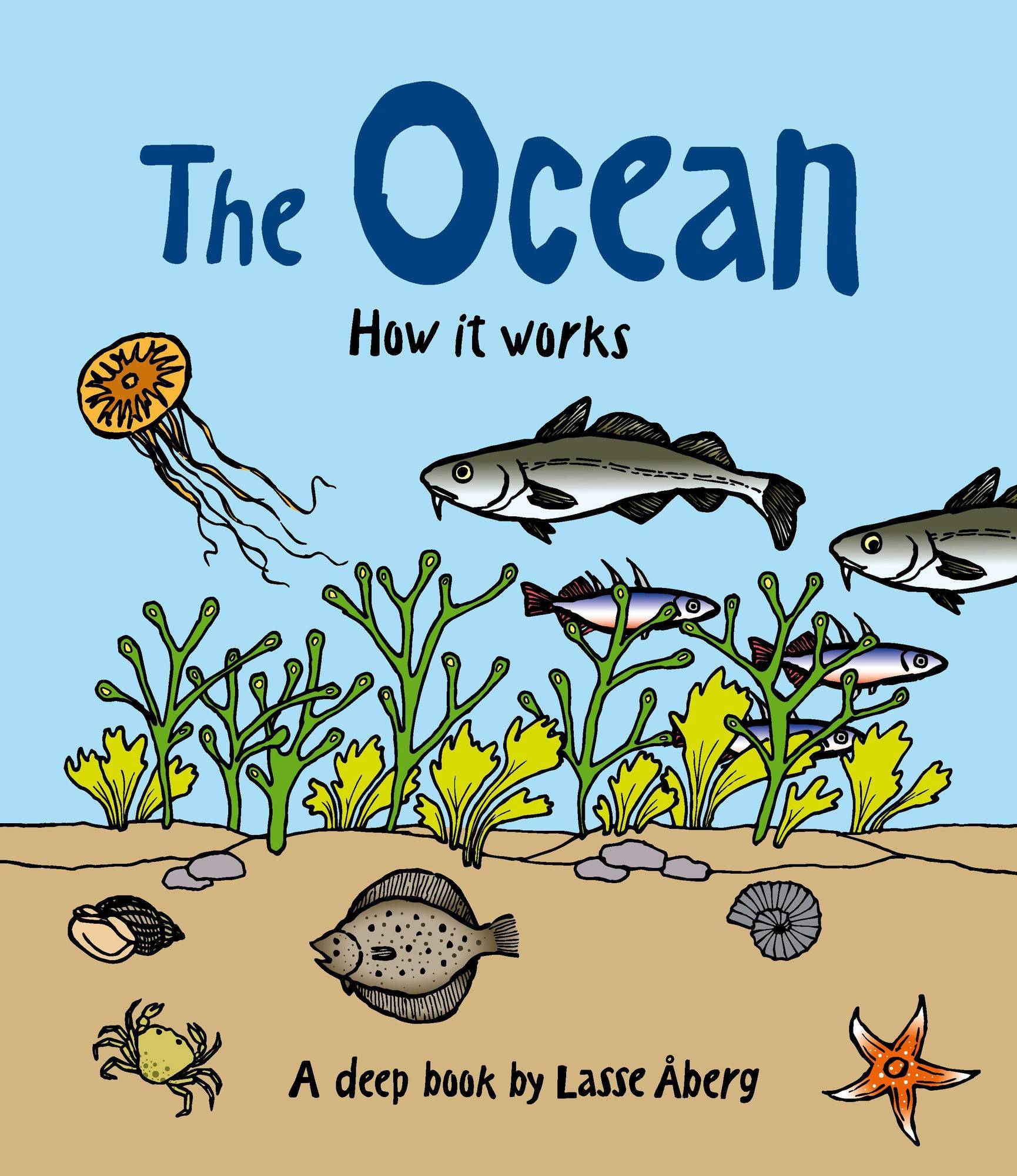 How the ocean works