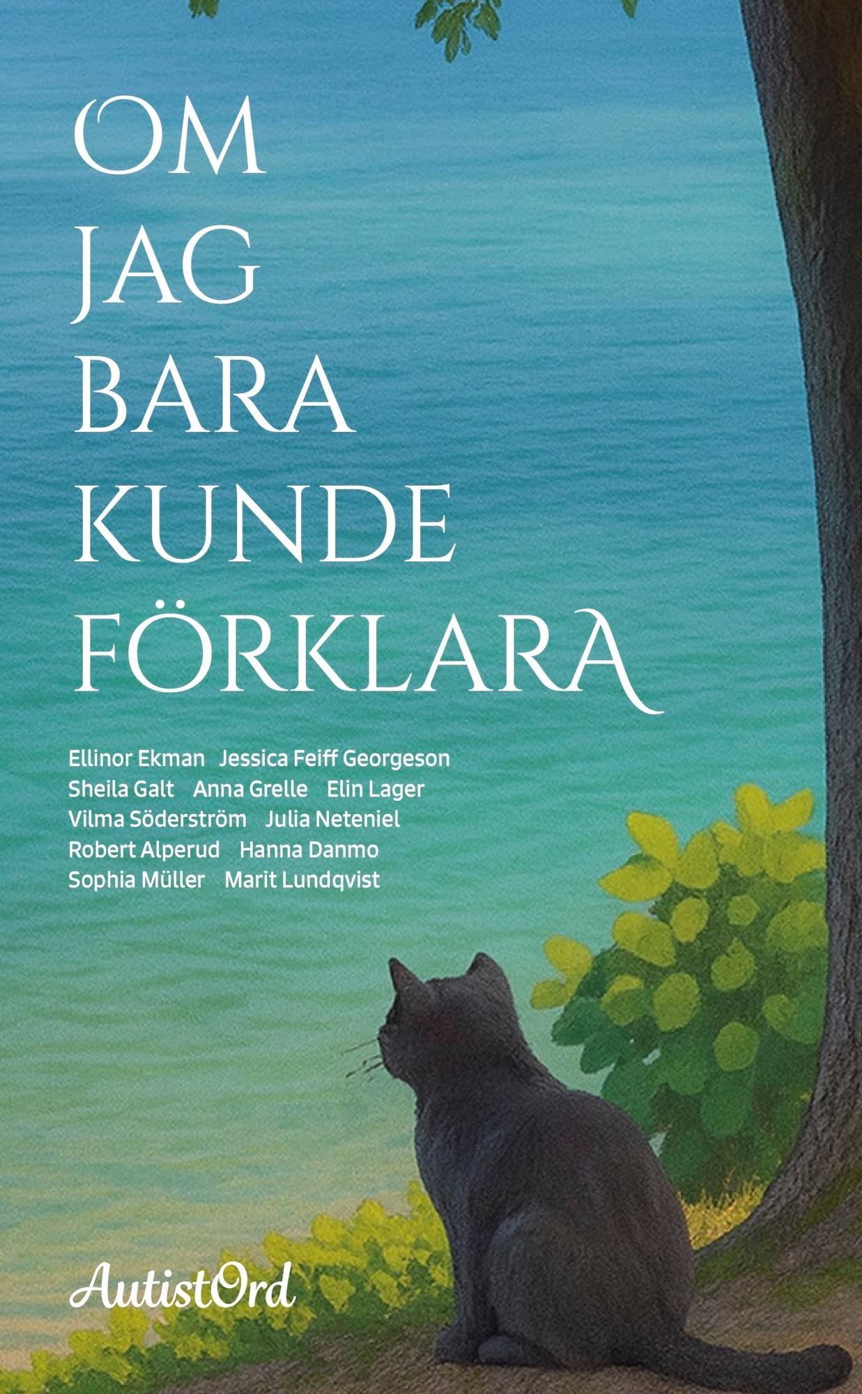 Om jag bara kunde förklara