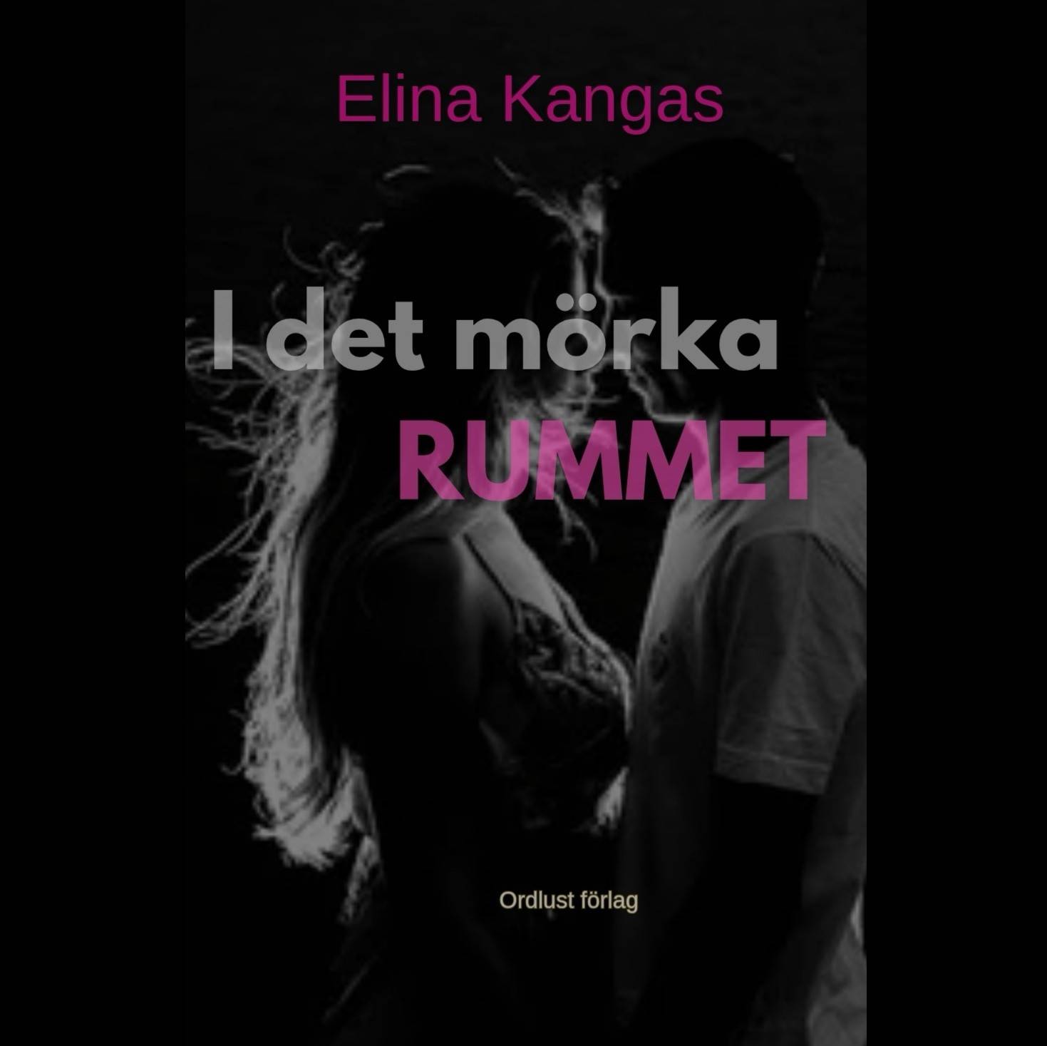 I det mörka rummet