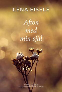 Afton med min själ