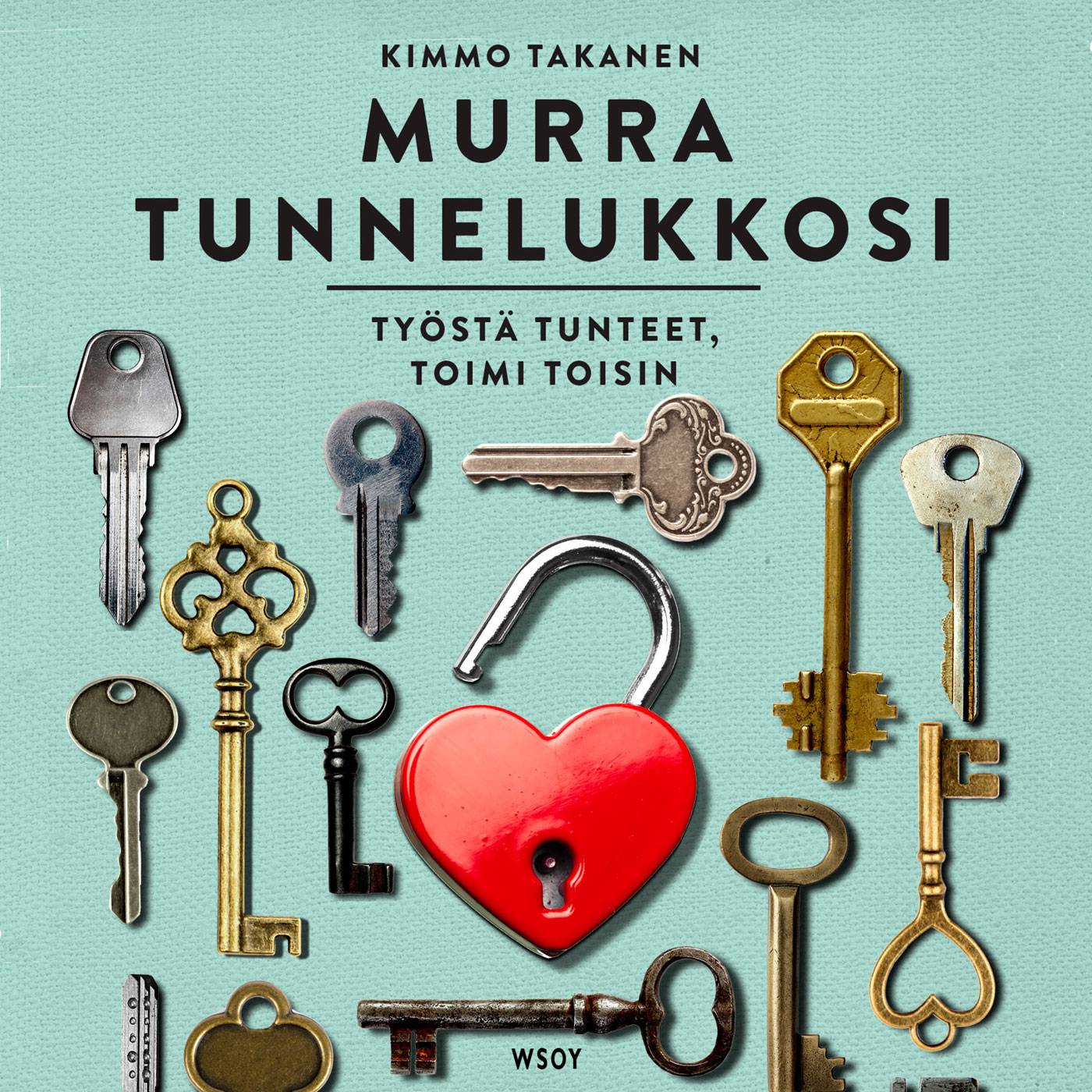 Murra tunnelukkosi : työstä tunteet, toimi toisin