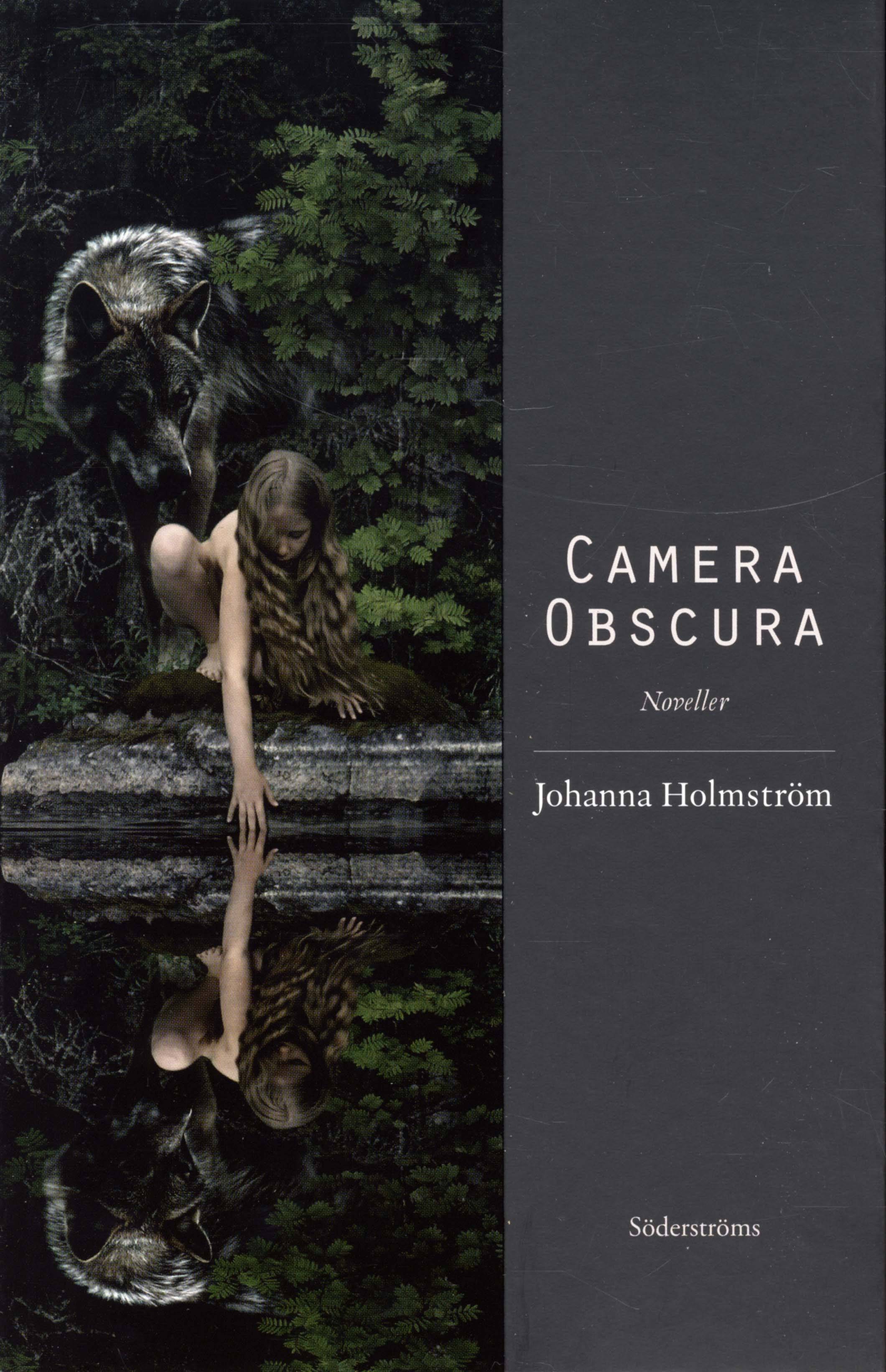 Camera Obscura : noveller
