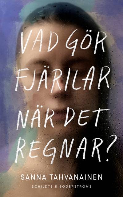 Vad gör fjärilar när det regnar?