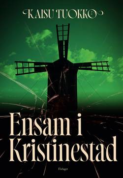 Ensam i Kristinestad